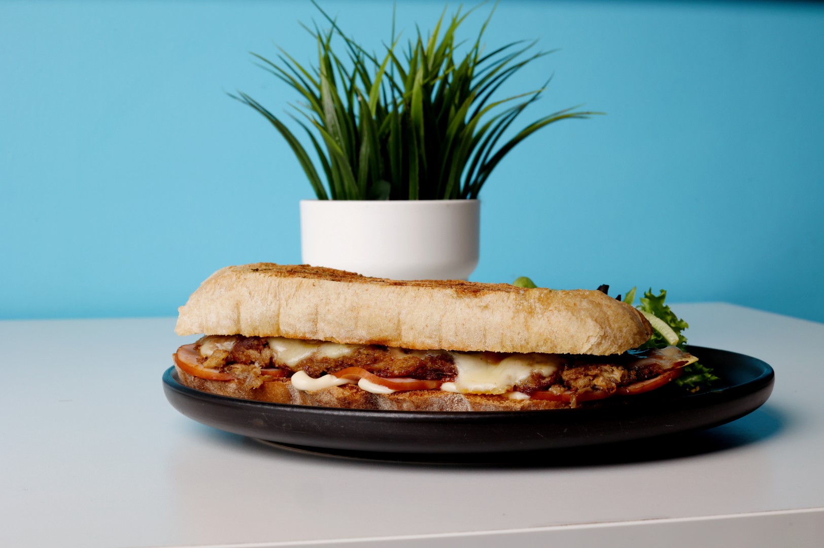 The Perfect Tray – plate 11